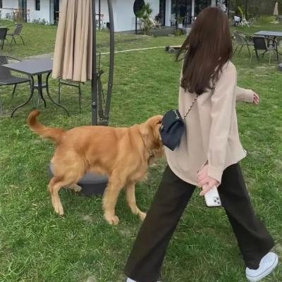 栋笃好栋笃妙